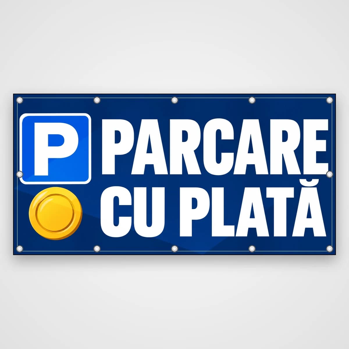 Banner Parcare cu plată – P și monedă