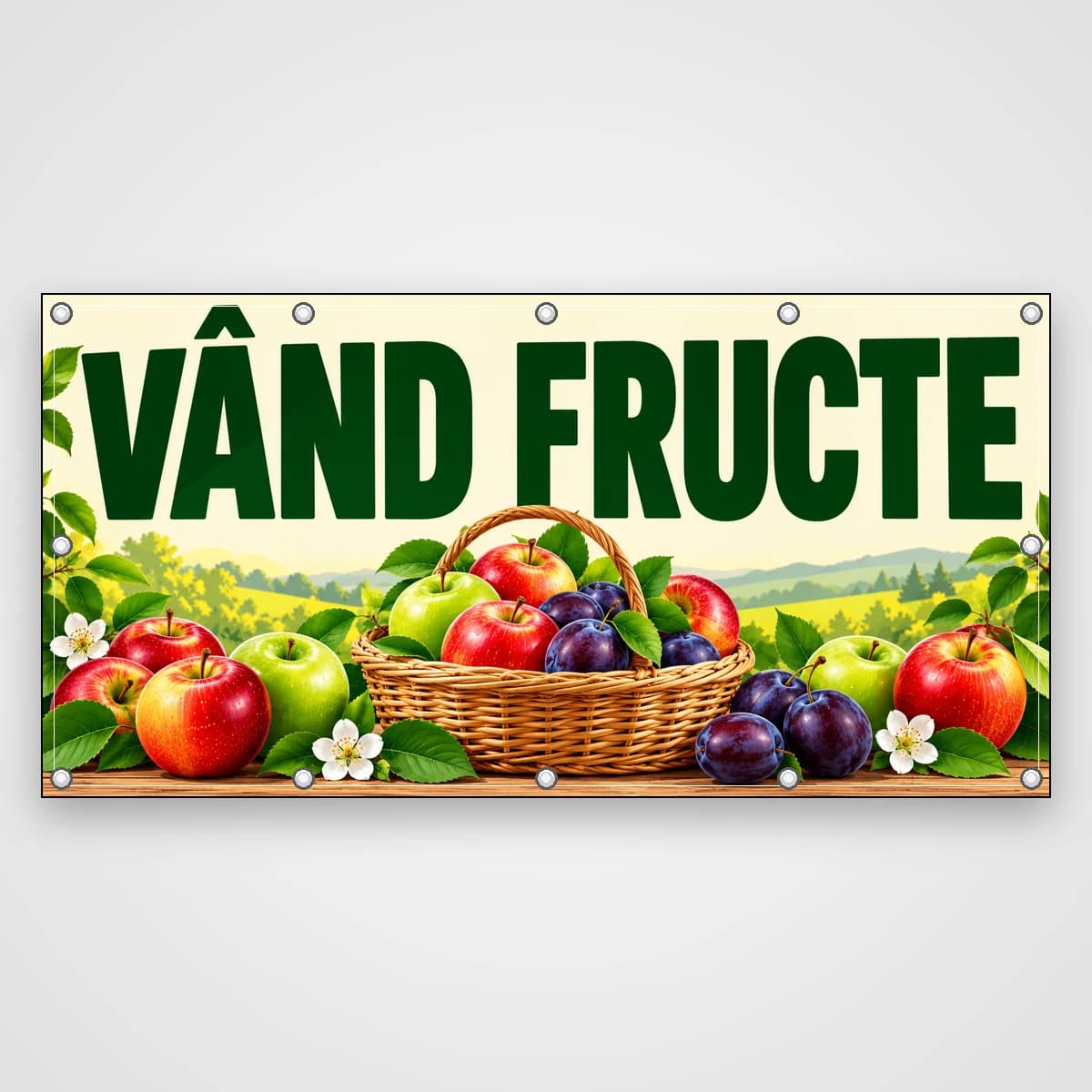 Banner Vând fructe – mere și prune