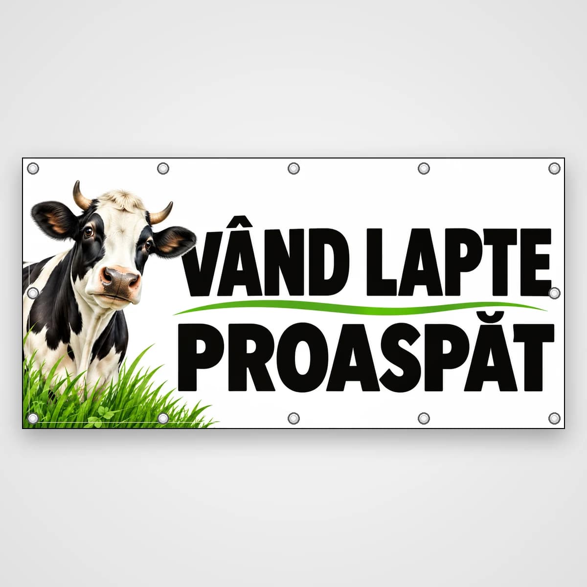 Banner Vând lapte proaspăt – vacă