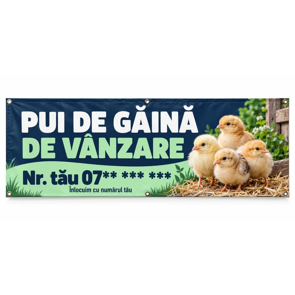Banner pui de găină de vânzare cu numărul tău