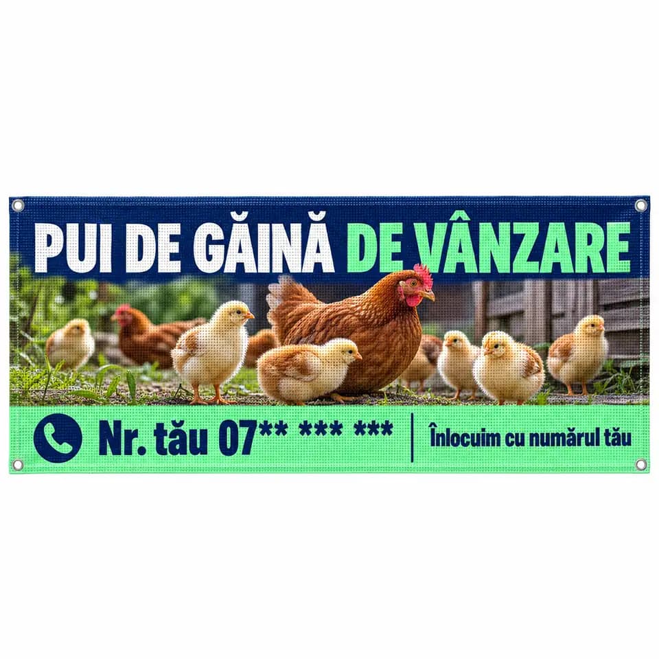 Mesh pui de găină de vânzare cu numărul tău