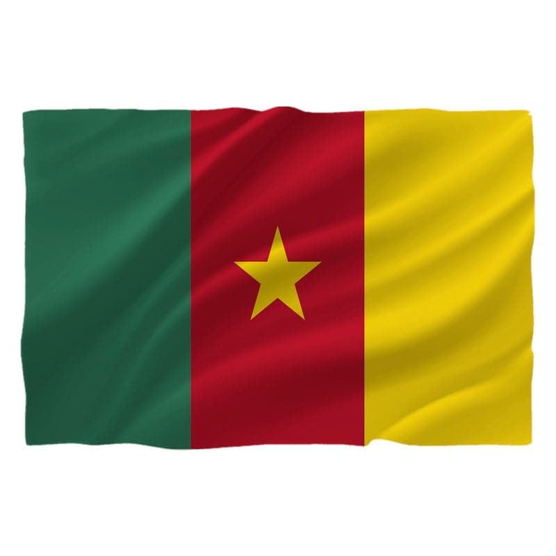 Drapel Camerun