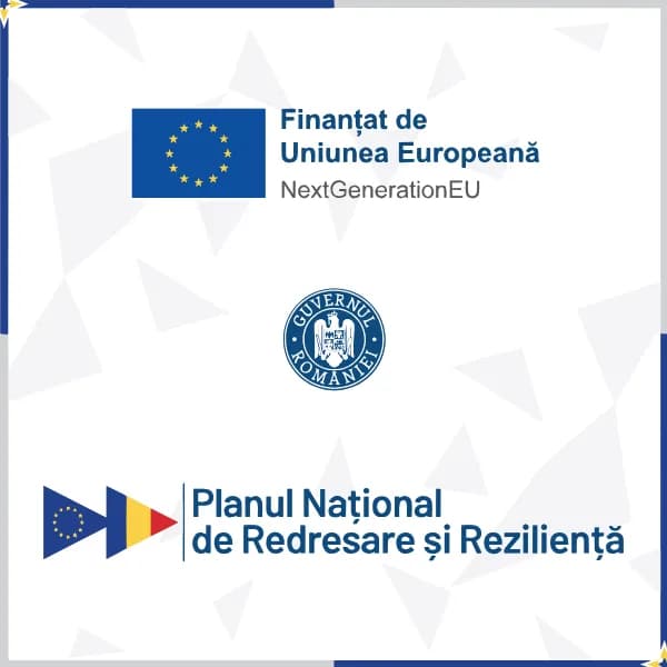 Panou PNRR Editabil Online